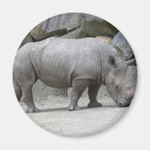 rhino fridge magnet
