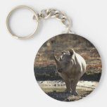 Rhino, front view keychains