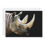 Rhino Head, Black Background Personalized Invite