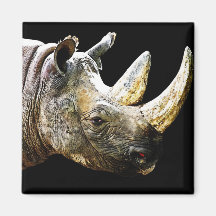 Rhino Head, Black Background Magnet