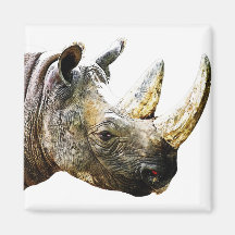 Rhino Head, White Background Magnet