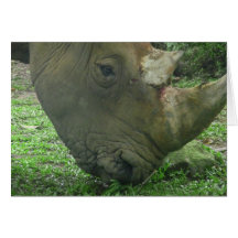 Rhino Horns Greeting Cards