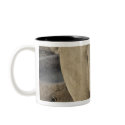 Rhino mugs
