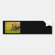 Rhino Photo Bumper Sticker