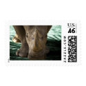 Rhino postage