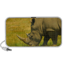 Rhino Speakers