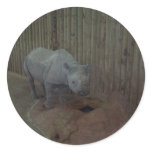 Rhino Round Stickers