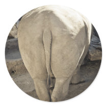 Rhino Stickers