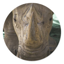 Rhino Round Stickers