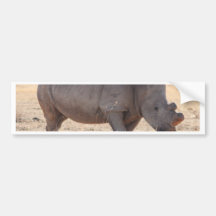 Rhinocéros Autocollant Pour Voiture