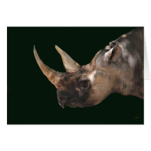 Rhinoceros Cards