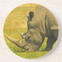 Rhinoceros Coasters