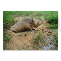 Rhinoceros Greeting Cards