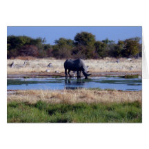 Rhinocéros noir cartes de vœux