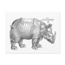 Rhinoceros