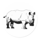Rhinos Rock Sticker