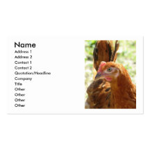 Rhode Island Red Business Card