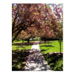 Rhode Island, Westerly - Post Card
