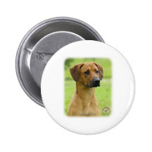 Rhodesian Ridgeback Badges Avec Agrafe