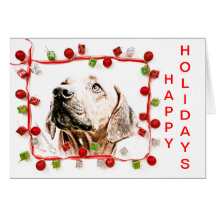 Rhodesian Ridgeback Carte De Vœux