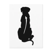 Rhodesian Ridgeback Dog Breed Spine
