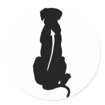 Rhodesian Ridgeback Dog Breed Spine