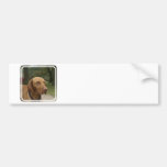 Rhodesian Ridgeback Dog Bumper Sticker