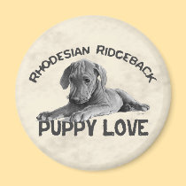 Rhodesian Ridgeback Drawing magnets