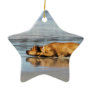 Rhodesian Ridgeback - Is the Water Cold? Christmas Ornaments