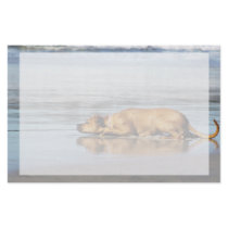 Rhodesian Ridgeback - Is the Water Cold? Personalized Stationery