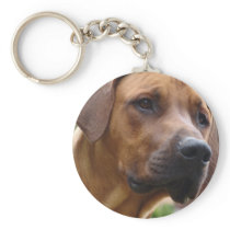 Rhodesian Ridgeback Keychain
