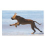 Rhodesian Ridgeback - Leap Rectangular Sticker