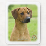 Rhodesian Ridgeback Mouse Mats