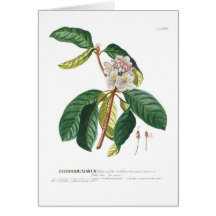 Rhododendron Card