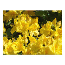 Rhododendron Flowers Photography Fine Art Prints