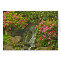 Rhododendron Greeting Card