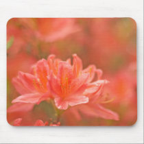 Rhododendron mousepads