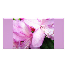 Rhododendron Photocard Customized Photo Card