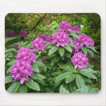 Rhododendron Ponticum Mouse Mats