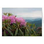 Rhododendrons Greeting Card