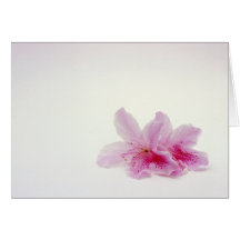 Rhododendrons Greeting Card