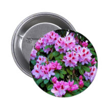 Rhododendrons Pin