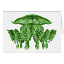 Rhopilema rhopalophorum greeting cards