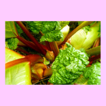 Rhubarb posters