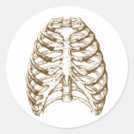 Rib Cage Sepia Round Sticker