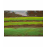 Rice Fields t-shirts