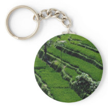 Rice paddy fields, Bali, Indonesia Keychain