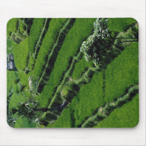 Rice paddy fields, Bali, Indonesia Mouse Pad