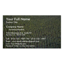 Rice paddy, Indonesia Business Card Templates