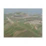 Rice Terraces China Post Card
